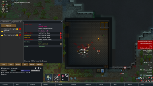 rjw mod for rimworld download