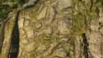 post-35588-0-61101200-1390617648_thumb.jpg