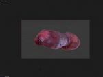 post-20591-0-62789900-1424909379_thumb.jpg
