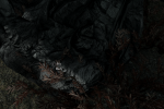 post-574239-0-06801300-1424478611_thumb.png