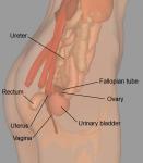 post-3205-0-30659000-1363995129_thumb.jpg