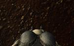 post-109603-0-65467400-1395226843_thumb.jpg