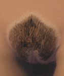 post-118842-0-16272000-1425613706_thumb.png