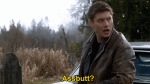 post-467985-0-55077600-1427492970_thumb.gif