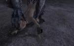 post-3-13597875060589_thumb.jpg