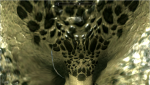post-239356-0-93783000-1396551908_thumb.png