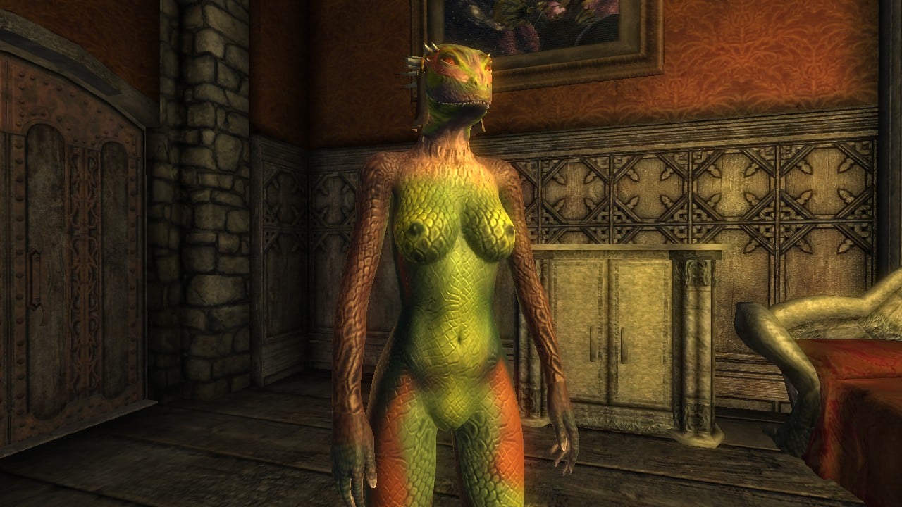 Oblivion Porn Mod