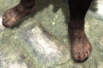 post-69958-0-51773600-1368489793_thumb.png