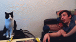 post-587606-0-56399900-1432881794_thumb.gif