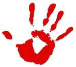post-710630-0-94709900-1431438883_thumb.jpg
