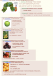 post-167058-0-45927100-1371036823_thumb.png