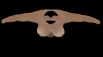 post-30850-0-15114300-1371639166_thumb.jpg