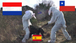 post-135531-0-17840100-1403185869_thumb.gif