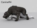 post-267278-0-33134000-1403822164_thumb.gif