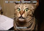 post-11484-0-93771200-1374166475_thumb.jpg