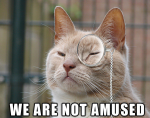 post-11484-0-66960500-1405049339_thumb.png