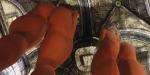 post-157660-0-58500000-1411264770_thumb.jpg