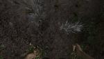 post-30387-0-59963700-1411801001_thumb.jpg