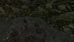 post-321913-0-37501400-1409863322_thumb.jpg