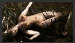 post-17094-1359787952175_thumb.jpg