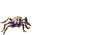 post-35101-0-32764100-1382570562_thumb.gif