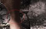 post-27796-0-08904500-1445747132_thumb.jpg
