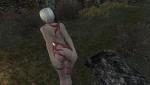 post-10-0-41620800-1385759809_thumb.jpg