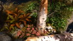 blogentry-433593-0-69169200-1416145070_thumb.png