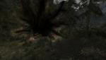 post-26143-0-86811200-1417107053_thumb.jpg