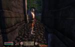 post-14940-0-75544900-1386288002_thumb.jpg