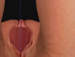 post-193195-0-93728300-1388109380_thumb.png
