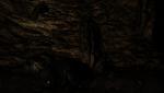 post-288018-0-19815000-1386887466_thumb.jpg