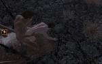 post-160974-0-31374800-1419520139_thumb.jpg