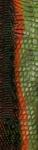post-23292-0-39811700-1418224489_thumb.jpg