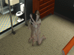 post-641534-0-70871900-1419709394_thumb.gif