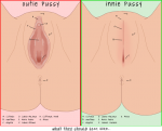 post-21885-0-07732700-1450077650_thumb.png