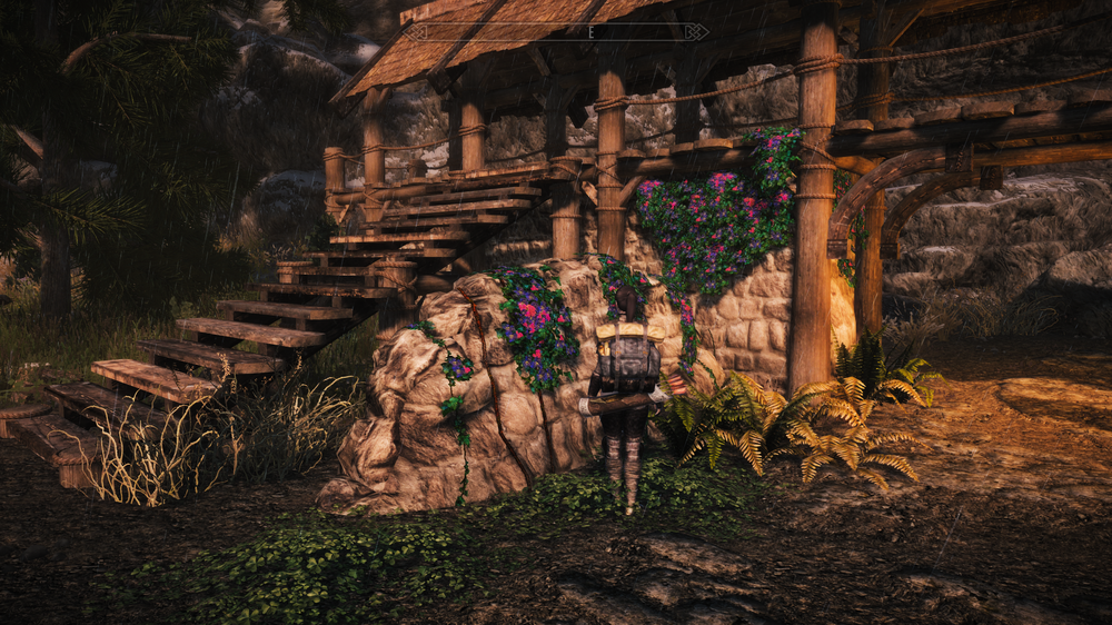 The Elder Scrolls V  Skyrim Special Edition Screenshot 2017.11.14 - 07.55.37.11.png