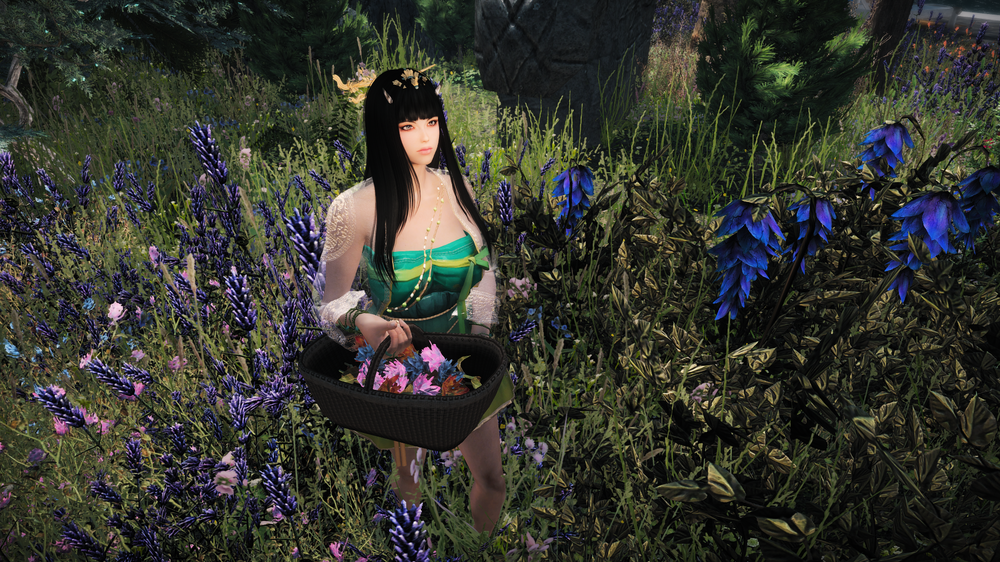 The Elder Scrolls V  Skyrim Special Edition Screenshot 2017.11.16 - 15.35.49.35.png