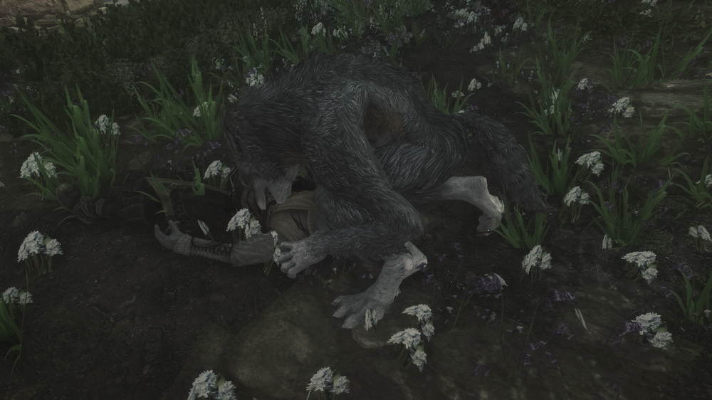 5a0e97b405fe6_bandicam2017-11-0622-01-08-997.thumb.png.9f0d0427e57e8c1ff3e5f184c1e524e4.png