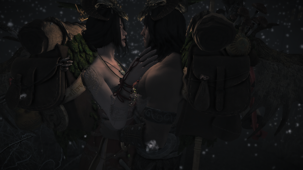 The Elder Scrolls V  Skyrim Special Edition Screenshot 2017.11.17 - 16.37.15.59.png