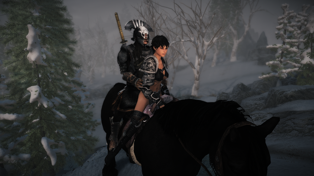 The Elder Scrolls V  Skyrim Special Edition Screenshot 2017.11.21 - 19.45.07.74.png