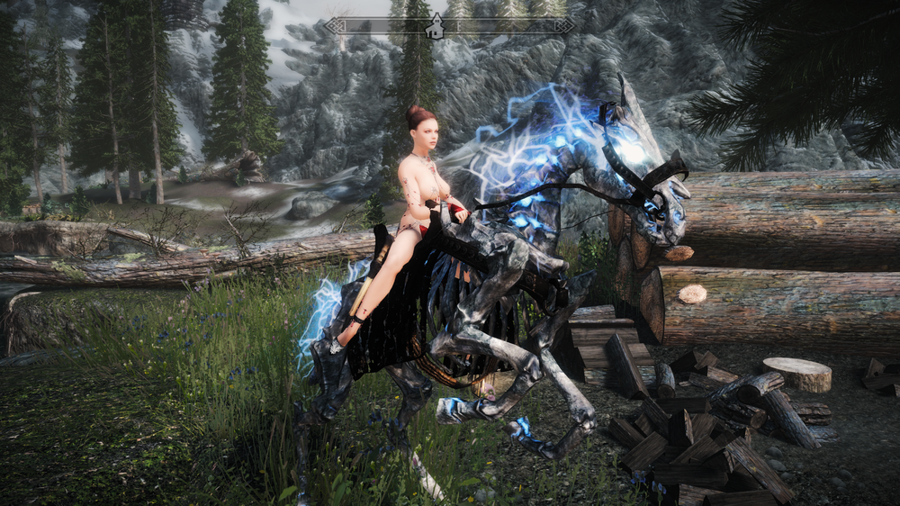 The Elder Scrolls V  Skyrim Special Edition Screenshot 2017.11.23 - 12.21.09.95.png