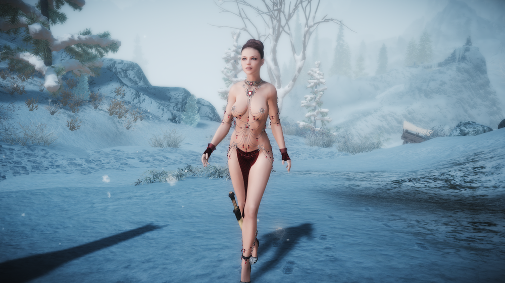 The Elder Scrolls V  Skyrim Special Edition Screenshot 2017.11.23 - 12.14.10.88.png