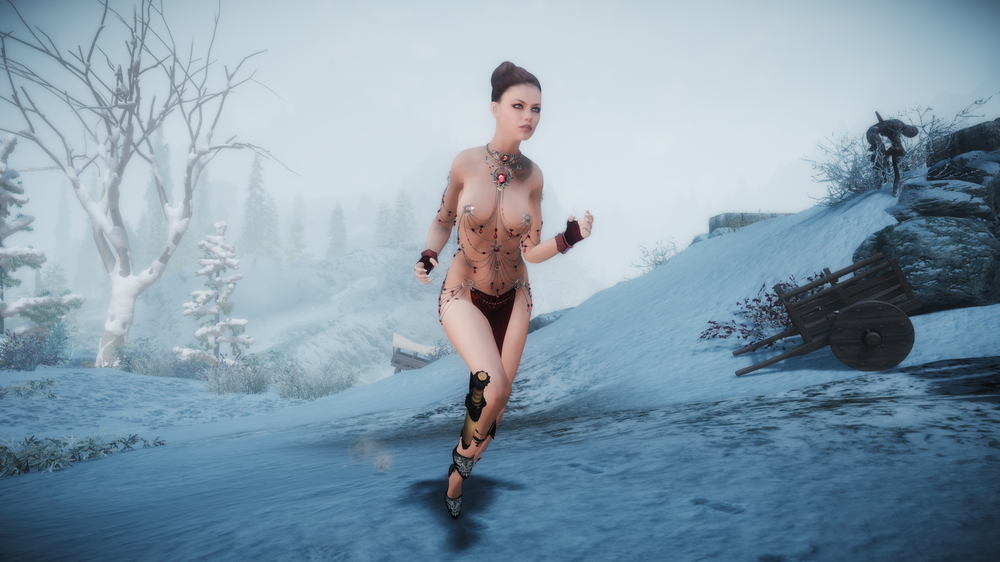 The Elder Scrolls V  Skyrim Special Edition Screenshot 2017.11.23 - 12.13.41.78.png