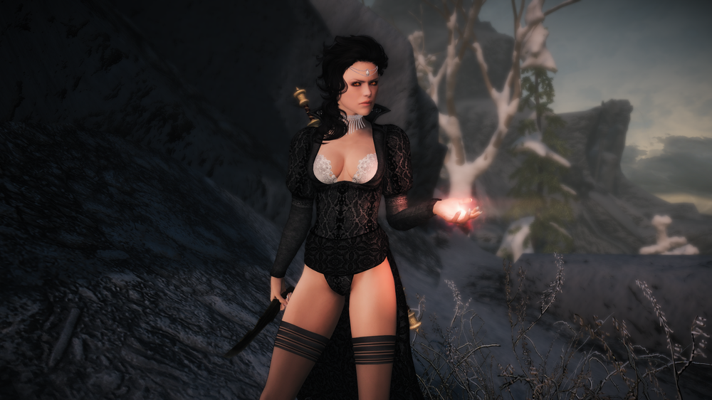 5a16d7fb5854b_TheElderScrollsVSkyrimSpecialEditionScreenshot2017_11.23-14_55_04_81.thumb.png.244103f7fe7e9537574a7b94056e7211.png