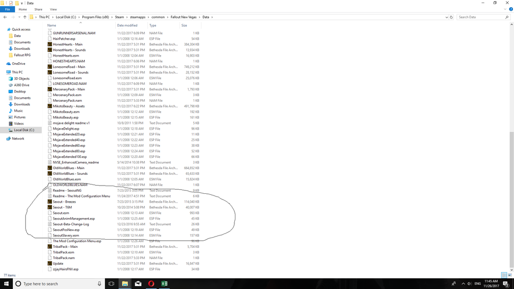 FNV Data Folder.png