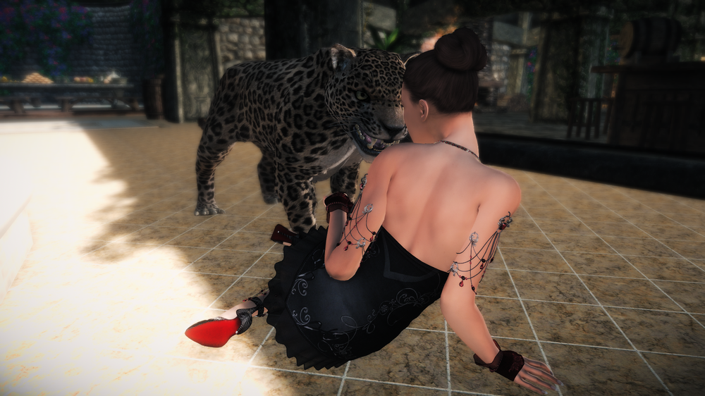 5a1d8d4b13cd1_TheElderScrollsVSkyrimSpecialEditionScreenshot2017_11.27-17_05_15_56.thumb.png.1ec9e39e0b81f9c4f4582a0983d1263e.png