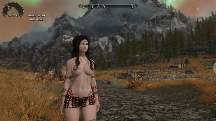 5a207135828db_SkyrimSE2017-11-3015-56-44-17.thumb.jpg.db255a11c173e081cc30ff606eab94a2.jpg
