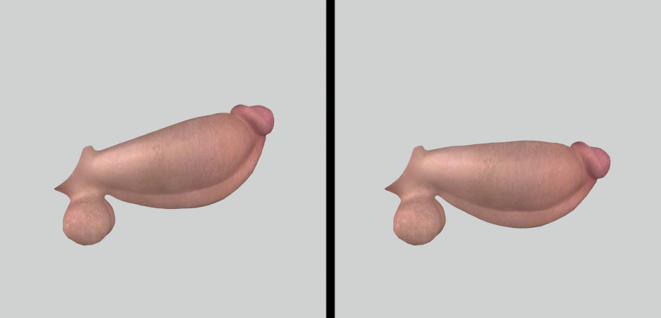 Penzor_angle.jpg.ac6ce8d817ea8d02d782daec49ac1e76.jpg