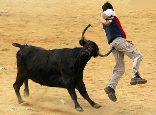 a_bull_hit__by_kyurem600-d5zof7p.jpg.2f09e49bd6ebf292b550258c99492308.jpg
